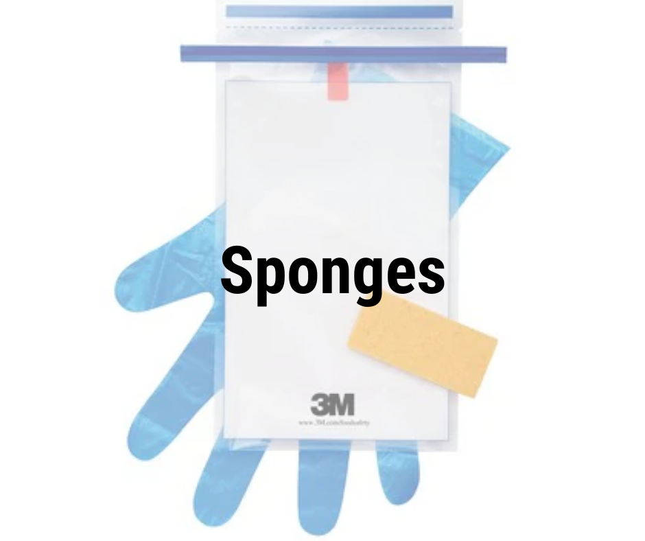 Sponges 2.png